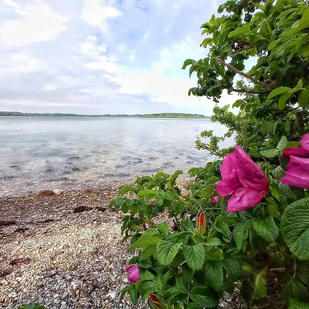 4 Star In Aabenraa Vakantiehuis