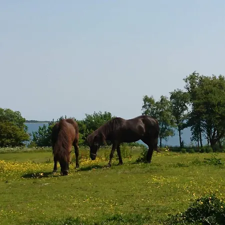4 Star In Aabenraa