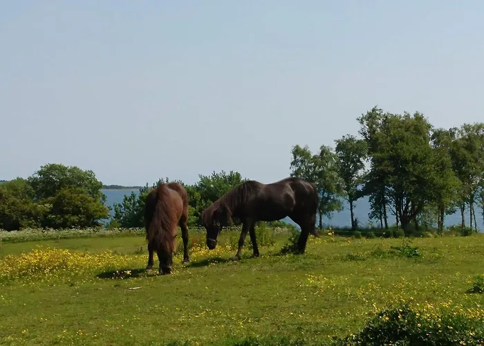 12 Person In Aabenraa-by Traum